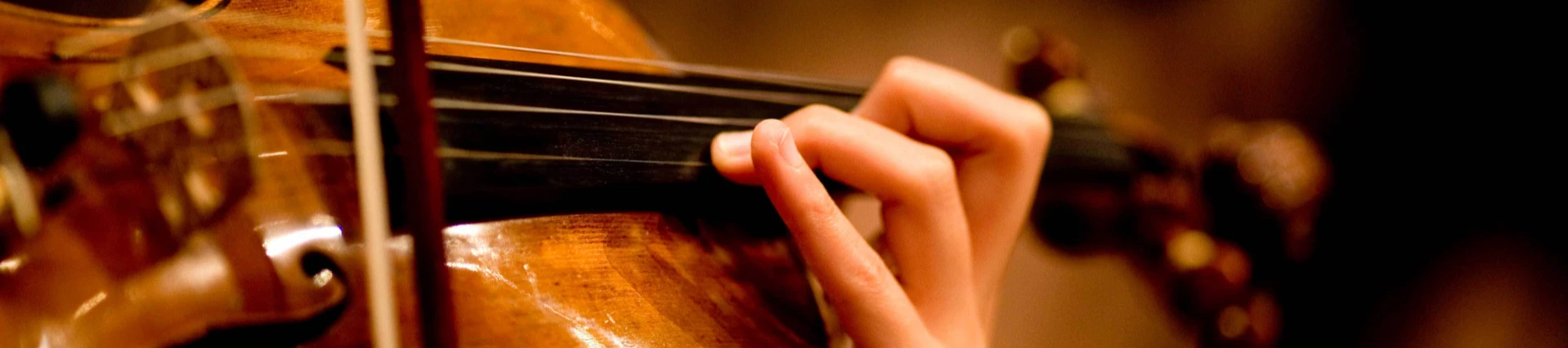 Violines, Violas y Cellos