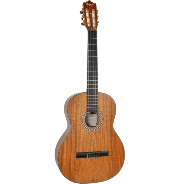 GUITARRA CLÁSICA PALMER PC17